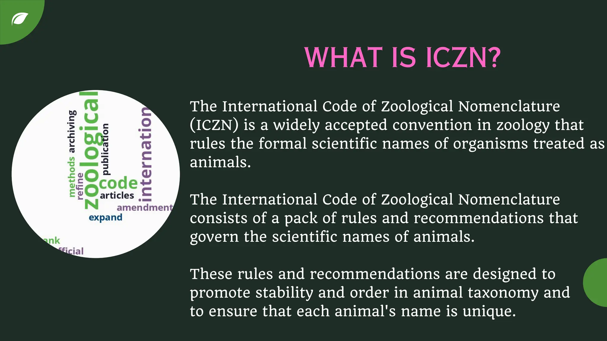 INTERNATIONAL CODE OF ZOOLOGICAL NOMENCLATURE | PDF