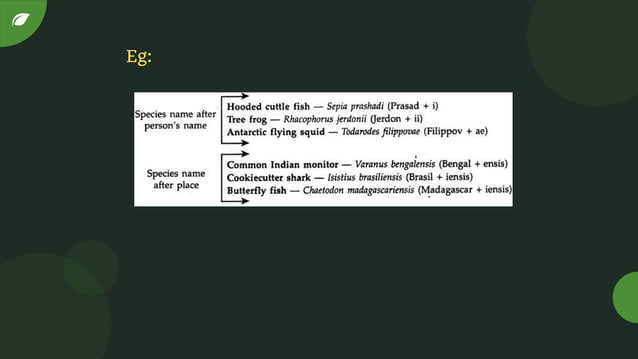 INTERNATIONAL CODE OF ZOOLOGICAL NOMENCLATURE | PDF | Genetics | Science