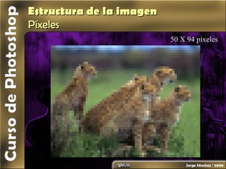 Estructura de la imagenEstructura de la imagen
PíxelesPíxeles
50 X 94 píxeles
 