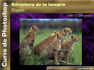 Estructura de la imagenEstructura de la imagen
PíxelesPíxeles
1600 X 1200 píxeles
 