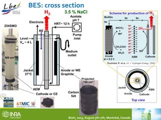 BES: cross section 
3.5 % NaCl 
Pump 
inlet 
BioH2 2013, August 5th-7th, Montréal, Canada 
AEM 
Cathode or CE 
Level 
Vw ~ 4 L 
Medium 
outlet 
Jacket 
37°C 
Anode or WE 
Graphite 
Electrons 
H2 
Carbon 
felt 
Projected: 
750 cm2 
254SMO 
560 cm2 
RE 
HRT~ 12 h 
Acetate 
pH 7 
 