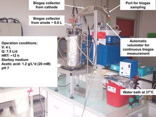 Biogas collector 
from cathode 
Biogas collector 
from anode ~ 0.0 L 
Operation conditions: 
V: 4 L 
Q: 7.5 L/d 
HRT: ~12 h 
Starkey medium 
Acetic acid: 1.2 g/L*d (20 mM) 
pH 7 
Port for biogas 
sampling 
Automatic 
volumeter for 
continuous biogas 
measurement 
Water bath at 37°C 
 