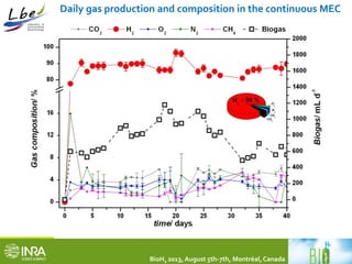 Daily gas production and composition in the continuous MEC 
BioH2 2013, August 5th-7th, Montréal, Canada 
 