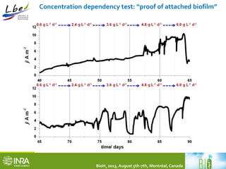 Concentration dependency test: “proof of attached biofilm” 
BioH2 2013, August 5th-7th, Montréal, Canada 
 