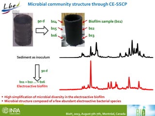 Microbial community structure through CE-SSCP 
90 d Biofilm sample (bs1) 
Sediment as inoculum 
Electroactive biofilm 
 High simplification of microbial diversity in the electroactive biofilm 
 Microbial structure composed of a few abundant electroactive bacterial species 
*Thanks to Caroline Rivalland for SSCP analysis 
90 d 
bs2 
bs3 
bs4 
bs5 
bs6 
bs1 = bs2 … = bs6 
BioH2 2013, August 5th-7th, Montréal, Canada 
 
