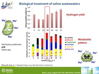 Biological treatment of saline wastewaters 
BioH2 2013, August 5th-7th, Montréal, Canada 
Na+ 
Na+ 
Na+ 
Na+ 
1,0 
0,8 
0,6 
0,4 
0,2 
Pierra, M. et al, Int. J. Hydrogen Energy. 2013. (Revised version in submission) 
Na+ 
Na+ 
Na+ Na+ 
0,0 
9 19 29 38 48 58 75 
H2max (molH2 molGLC-1) 
salinity (gNaClL-1) 
■ Lactate 
■ Ethanol 
■ Propionate 
■ Formate 
■ Acetate 
■ Butyrate 
Salt factory sediments 
pH8 
Vibrio spp. 
Hydrogen yield 
Metabolite 
pattern 
 