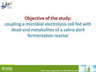Objective of the study: 
coupling a microbial electrolysis cell fed with 
dead-end metabolites of a saline dark 
fermentation reactor 
BioH2 2013, August 5th-7th, Montréal, Canada 
 