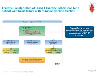 Hfref Treat Algorithm HF.pptx