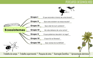 PERCURSO DESENVOLVIDO
Trabalho de campo * Trabalho experimental * Pesquisa de sites * Ilustração Científica * Apresentação eletrónica
 