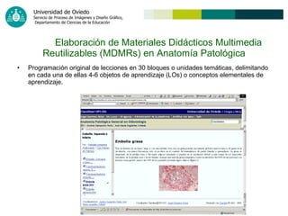 Elaboración de Materiales Didácticos Multimedia Reutilizables (MDMRs) en Anatomía Patológica Programación original de lecciones en 30 bloques o unidades temáticas, delimitando en cada una de ellas 4-6 objetos de aprendizaje (LOs) o conceptos elementales de aprendizaje. 