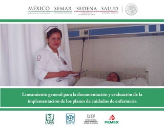 Lineamiento general para la documentación y evaluación de la
implementación de los planes de cuidados de enfermería

 