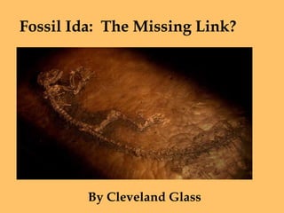 Fossil Ida:  The Missing Link? By Cleveland Glass 