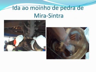 Ida ao moinho de pedra deMira-Sintra