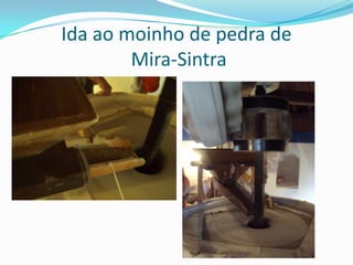 Ida ao moinho de pedra deMira-Sintra