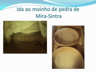 Ida ao moinho de pedra deMira-Sintra