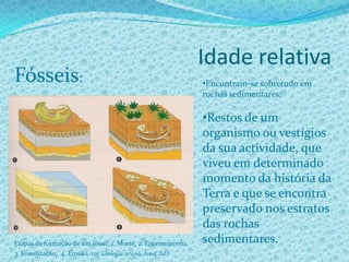 Idade Relativa e Idade Radiométrica