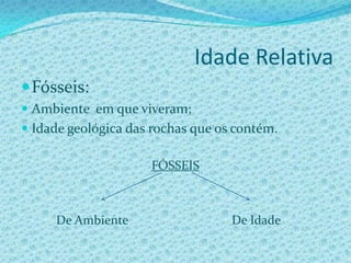 Idade Relativa e Idade Radiométrica