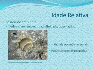 Idade Relativa e Idade Radiométrica