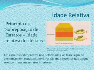Idade Relativa e Idade Radiométrica