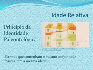 Idade Relativa e Idade Radiométrica