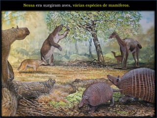 Nessa era surgiram aves, várias espécies de mamíferos.
 