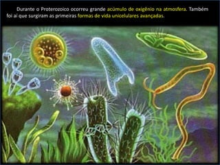 Durante o Proterozoico ocorreu grande acúmulo de oxigênio na atmosfera. Também
foi aí que surgiram as primeiras formas de vida unicelulares avançadas.
 