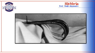 Cátaros / Albigenses: França – séc XII