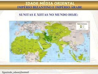 SUNITAS E XIITAS NO MUNDO HOJE: 