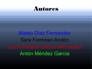 Autores
Mateo Díaz Fernandez
Sara Formoso Andón
Laura Daniela García Hernandez
Antón Méndez García
 
