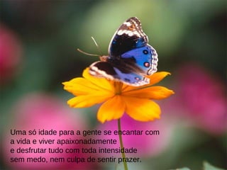 Uma só idade para a gente se encantar com
a vida e viver apaixonadamente
e desfrutar tudo com toda intensidade
sem medo, nem culpa de sentir prazer.
 
