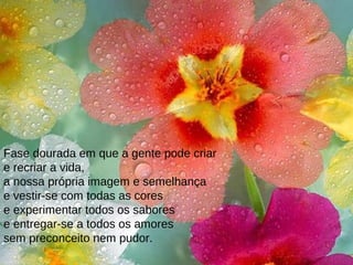Fase dourada em que a gente pode criar
e recriar a vida,
a nossa própria imagem e semelhança
e vestir-se com todas as cores
e experimentar todos os sabores
e entregar-se a todos os amores
sem preconceito nem pudor.
 