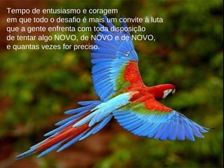 Tempo de entusiasmo e coragem
em que todo o desafio é mais um convite à luta
que a gente enfrenta com toda disposição
de tentar algo NOVO, de NOVO e de NOVO,
e quantas vezes for preciso.
 