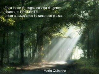 Essa idade tão fugaz na vida da gente
chama-se PRESENTE
e tem a duração do instante que passa.
Mario Quintana
 