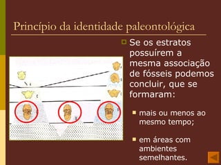 Idade Relativa 2 Princípio de Estratigrafia | PPT