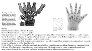 Infância
Meninas: Nascimento até 10 meses de idade
Homens: Nascimento até 14 meses de idade
Todos os ossos do carpo e todas as epífises das falanges, metacarpos, rádio e ulna carecem de ossificação no recém-nascido a
termo. Os centros de ossificação do capitato e hamato tornam-se aparente com cerca de 3 meses de idade e permanecem as
únicas características úteis observáveis para os próximos seis meses.
Com cerca de 10 meses de idade para as meninas, e cerca de 1 ano e 3 meses de idade para os meninos, aparece um pequeno
centro de ossificação na epífise distal do rádio.
Devido à falta de centros de ossificação, a avaliação da maturidade esquelética usando radiografias de mão e pulso durante a
infância é difícil. Estimativas maturação óssea no primeiro ano de vida freqüentemente requerem avaliação do número,
tamanho e configuração dos centros de ossificação secundária nas extremidades superiores e inferiores.
 