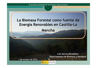 III Jornada de Sensibilización del Proyecto Janus en Cuenca




La Biomasa Forestal como fuente de
 Energía Renovables en Castilla-La
                              Mancha




                                                 Luis García Benedicto
                                          Departamento de Biomasa y Residuos
1 de octubre de 2010
 