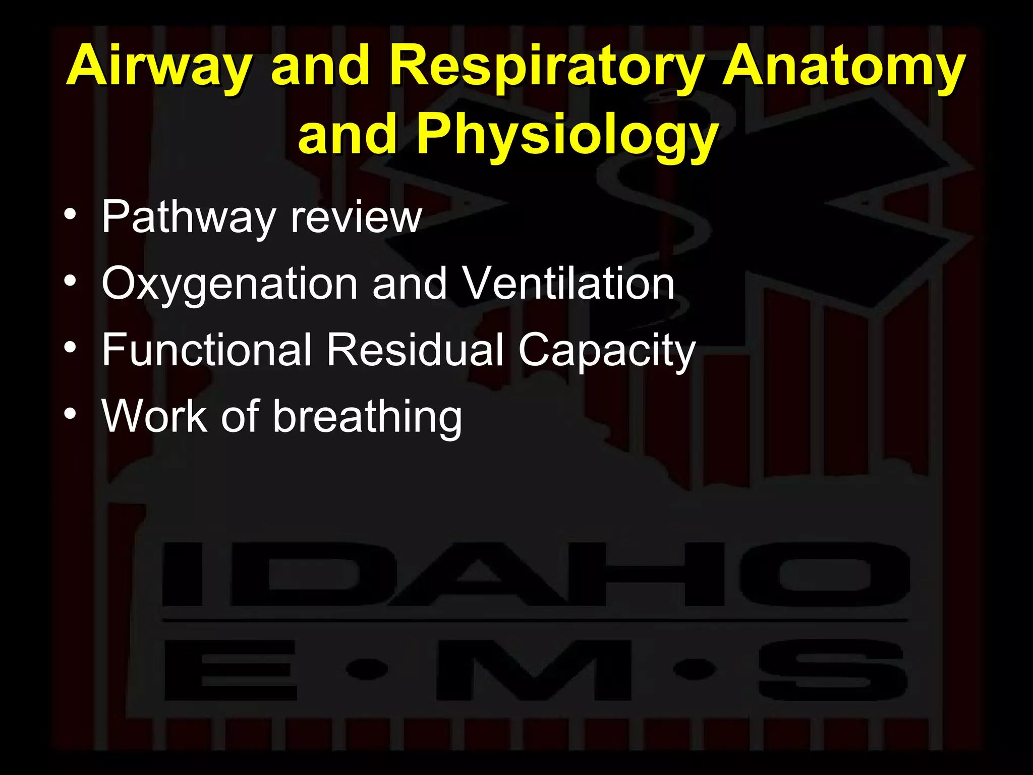 Airway and Respiratory Anatomy and Physiology  Pathway review Oxygenation and Ventilation Functional Residual Capacity Work of breathing 