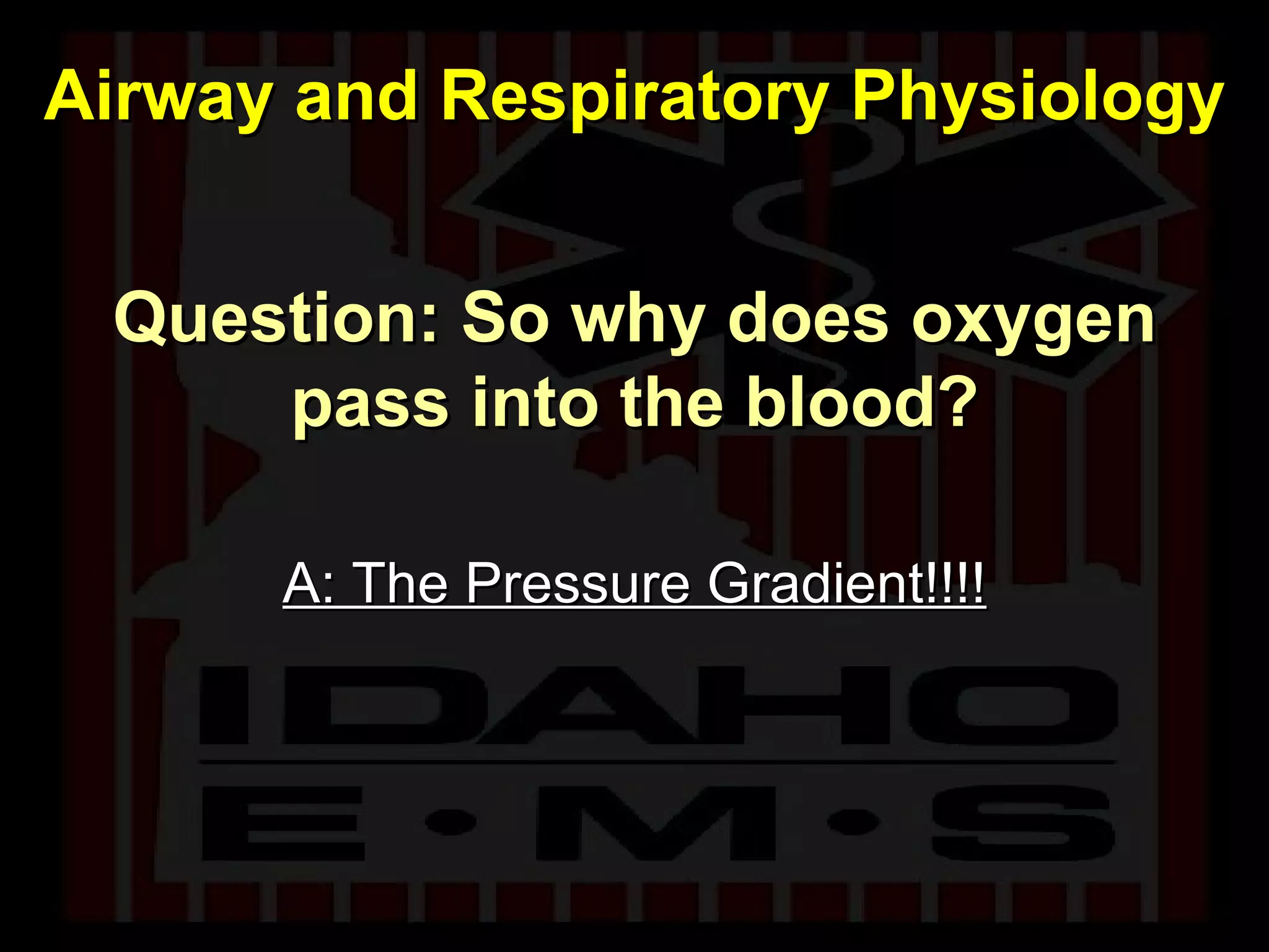 Question: So why does oxygen pass into the blood? A: The Pressure Gradient!!!! Airway and Respiratory Physiology 