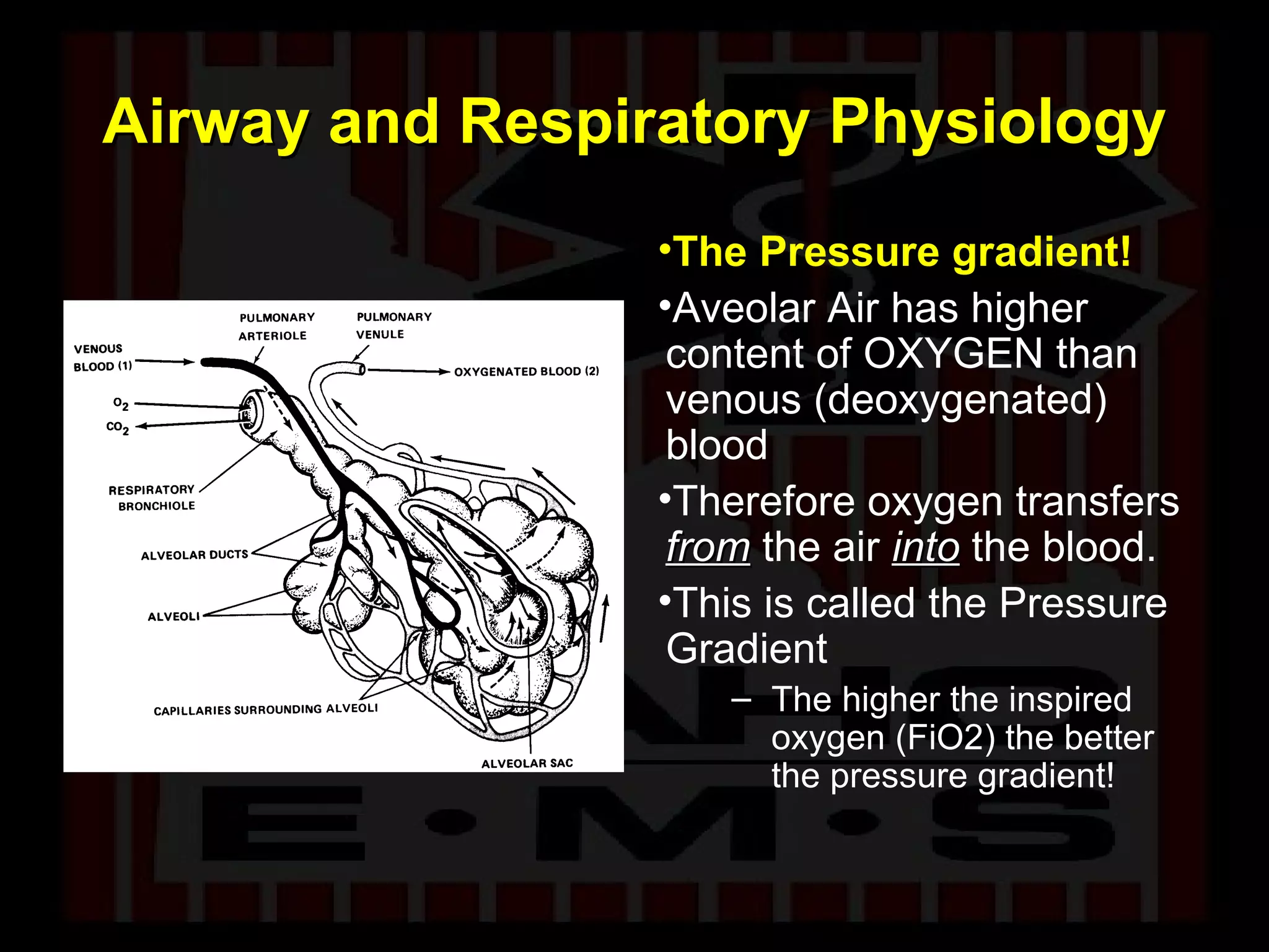 Airway and Respiratory Physiology The Pressure gradient! Aveolar Air has higher content of OXYGEN than venous (deoxygenated) blood  Therefore oxygen transfers  from  the air  into  the blood. This is called the Pressure Gradient The higher the inspired oxygen (FiO2) the better the pressure gradient! 