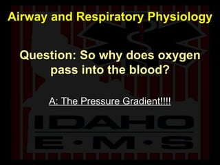Question: So why does oxygen pass into the blood? A: The Pressure Gradient!!!! Airway and Respiratory Physiology 