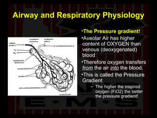 Airway and Respiratory Physiology The Pressure gradient! Aveolar Air has higher content of OXYGEN than venous (deoxygenated) blood  Therefore oxygen transfers  from  the air  into  the blood. This is called the Pressure Gradient The higher the inspired oxygen (FiO2) the better the pressure gradient! 