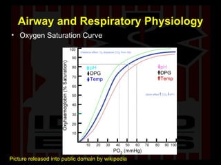 Airway and Respiratory Physiology Oxygen Saturation Curve Picture released into public domain by wikipedia 