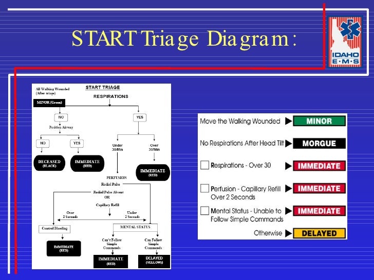 Start Triage Chart