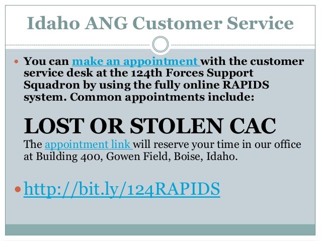 Idaho Air National Guard Rapids Customer Service Fy2014