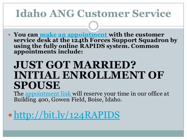 Idaho Air National Guard Rapids Customer Service Fy2014