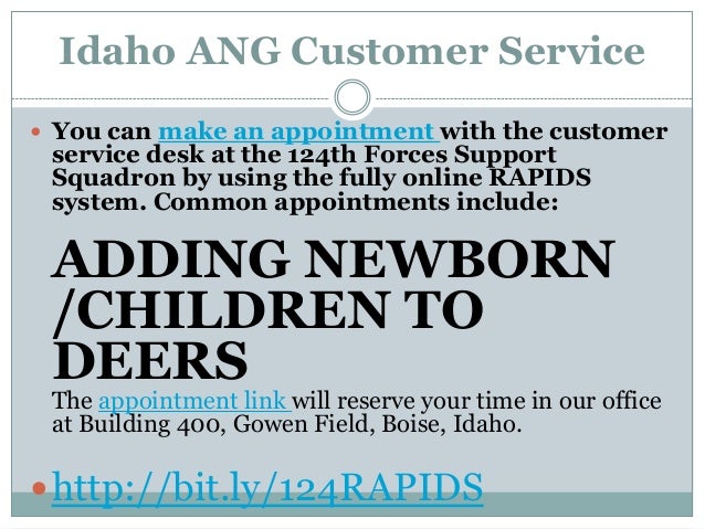 Idaho Air National Guard Rapids Customer Service Fy2014