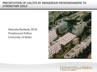 PRECIPITATION OF CALCITE BY INDIGENOUS MICROORGANISMS TO
STRENGTHEN SOILS




   Malcolm Burbank, Ph.D.
   Postdoctoral Fellow
   University of Idaho
 