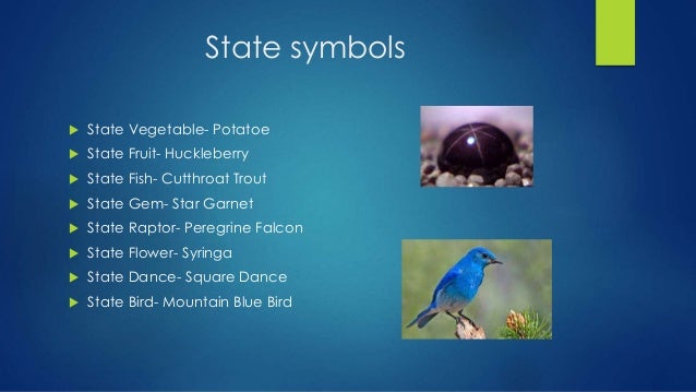 idaho state project 13 638
