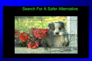 Search For A Safer Alternative
 