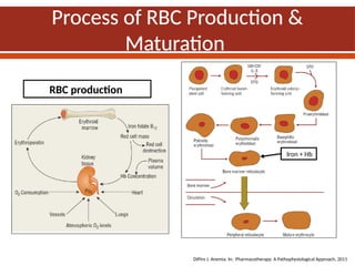 Stimulus For Rbc Production IRON DEFICIENCY ANEMIA IN A PATIENT A CASE | PPTX